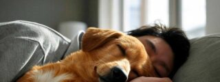 Siete rasgos que distinguen a quienes duermen con sus mascotas: m&aacute;s all&aacute; del ronquido compartido