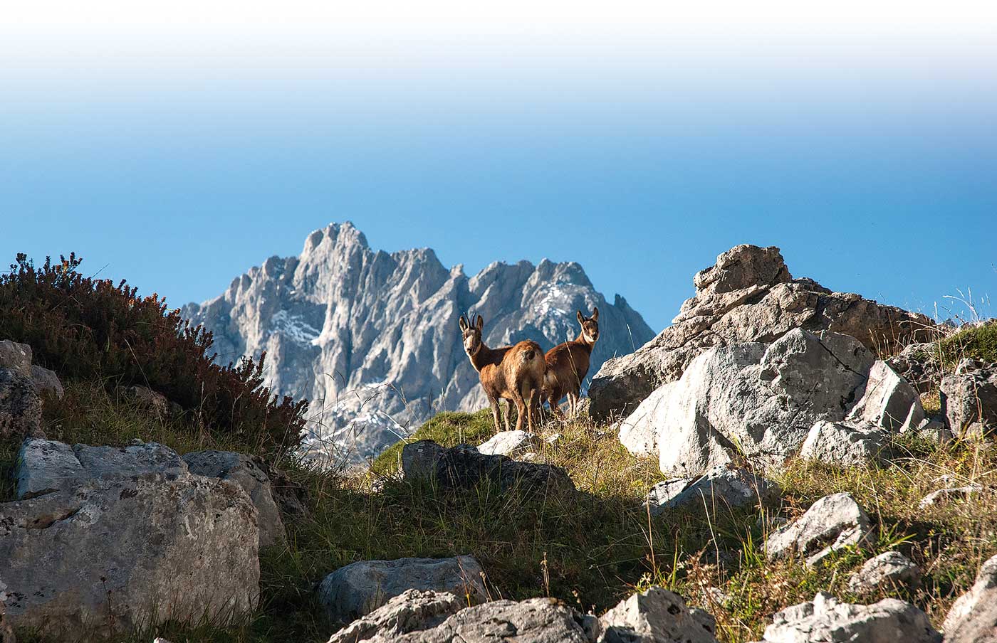 La Comarca de Li&eacute;bana: Tradici&oacute;n, naturaleza y devoci&oacute;n en Semana Santa