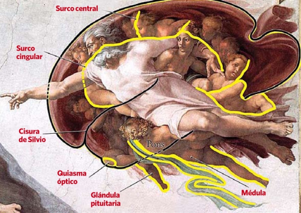 Miguel Ángel dej&oacute; mensajes ocultos en la Capilla Sixtina
