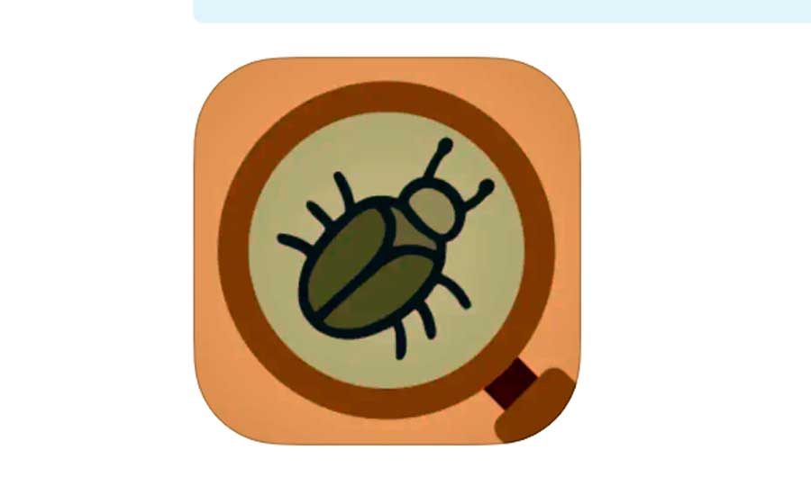 La revolución de las apps que destapan insectos ocultos en tus alimentos