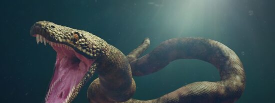 La serpiente Titanoboa