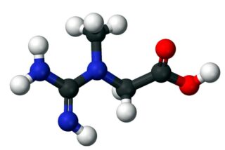 Creatina: el turbo natural de tus músculos y cerebro, ¿cuándo y cómo tomarla?