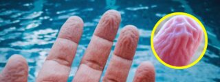 Dedos arrugados por el agua