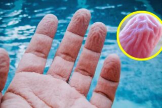 Dedos arrugados por el agua