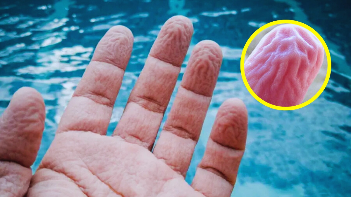 Dedos arrugados por el agua