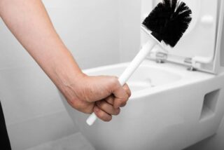 La escobilla del váter