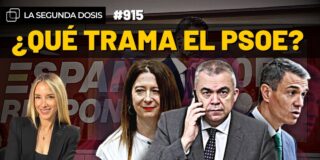 &iquest;Qu&eacute; trama el PSOE? la conexi&oacute;n entre la fontanera, una abogada y Santos Cerd&aacute;n