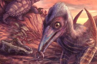 El nuevo pterosaurio bautizado como Eotephradactylus mcintireae