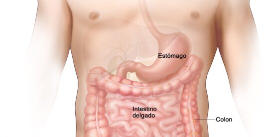 Apéndice y apendicitis (1)