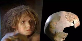 La niña de Skhul y su craneo