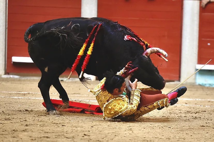 Morante de la Puebla, cogido