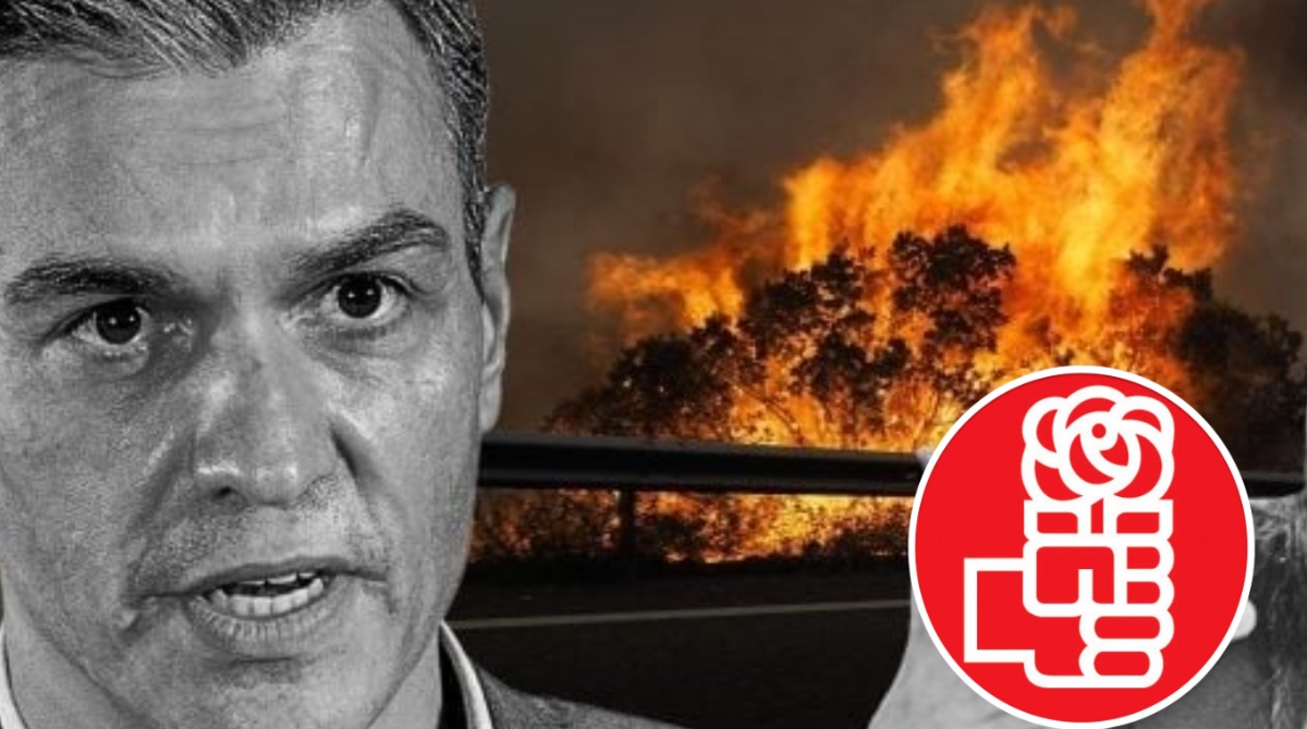 Ramiro Grau Morancho: "España en llamas, pero Sánchez y Felipe VI siguen de vacaciones"