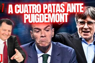 EN DIRECTO/ Sánchez se pone a cuatro patas ante Puigdemont, confiando en que le permita seguir chupando del frasco
