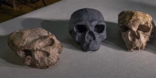 El cráneo de Yunxian, en China