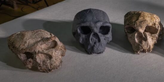 El cráneo de Yunxian, en China