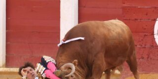 La cogida de Roca Rey