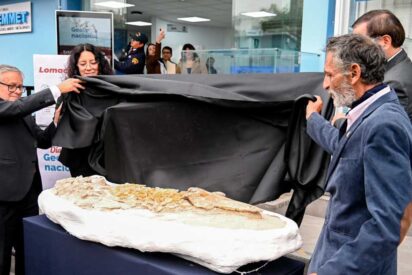 Descubren f&oacute;sil de criatura parecida a delf&iacute;n en el desierto peruano: una ventana a los mares prehist&oacute;ricos