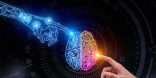 Ordenadores vivos, organoid intelligence