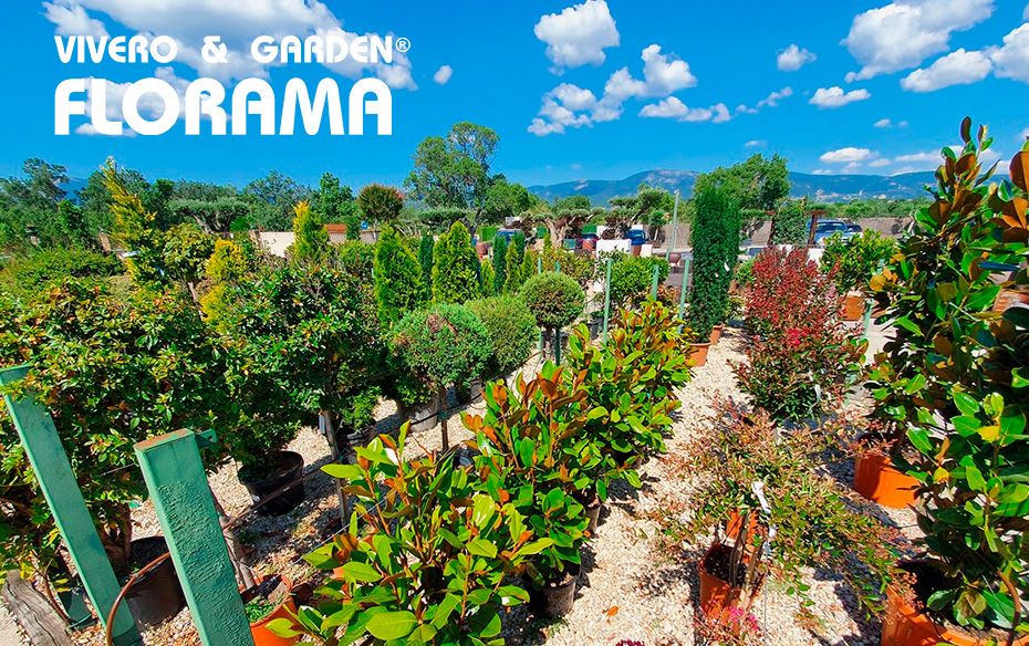 VIVEROS FLORAMA: excelencia y variedad al servicio del jard&iacute;n