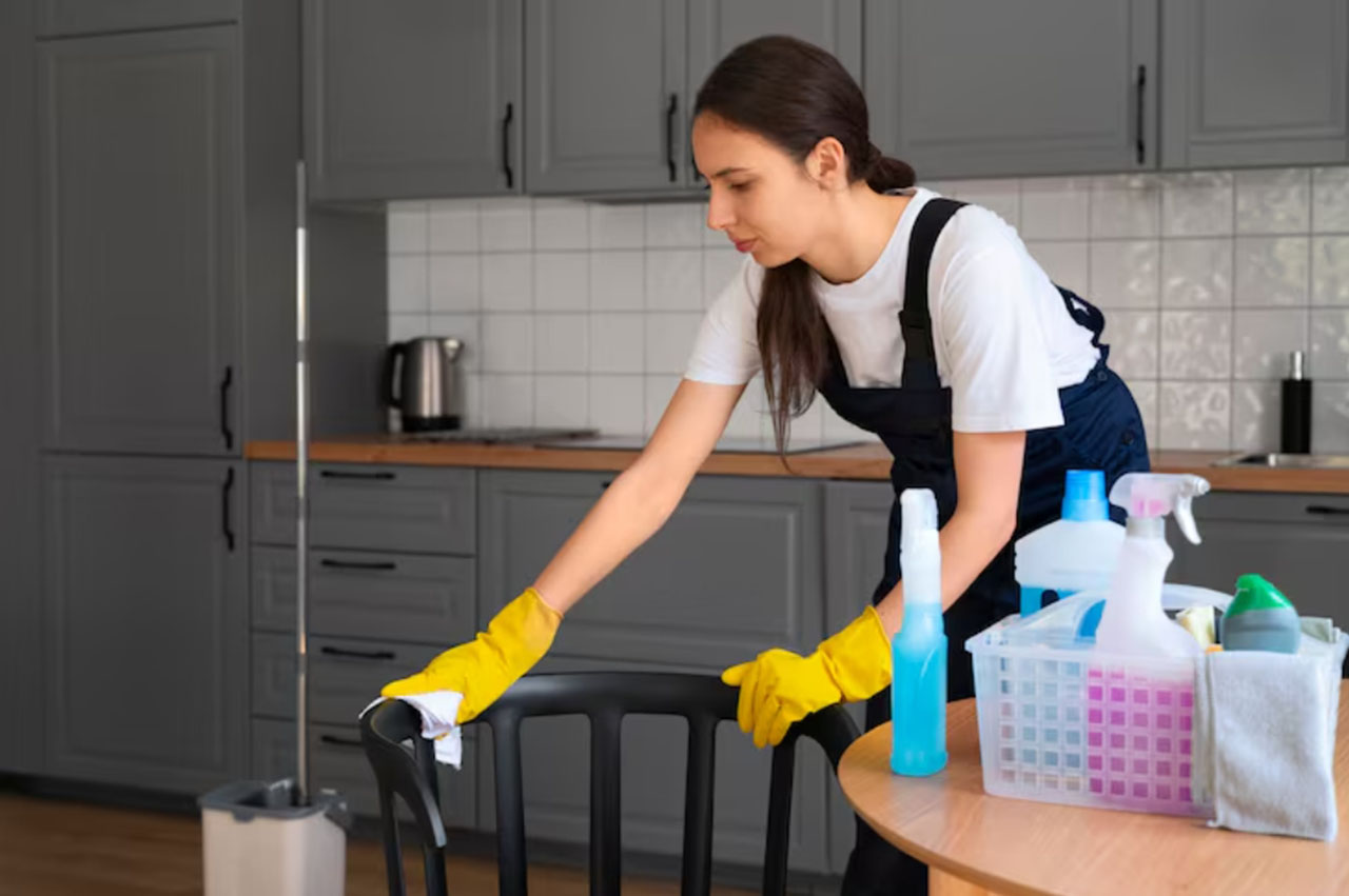 Servicios profesionales de limpieza