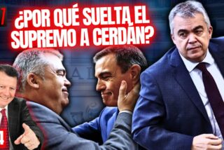 ¿El Supremo suelta a Cerdán por cantar o porque ya no quedan pruebas que destruir?