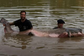 El siluro record de Fernando Equiza