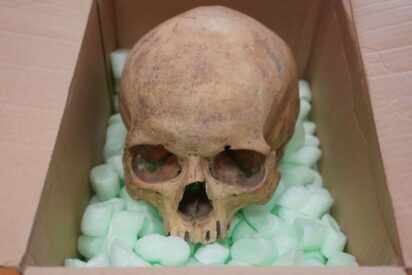 La calavera devuelta a la Catedral de San Esteban