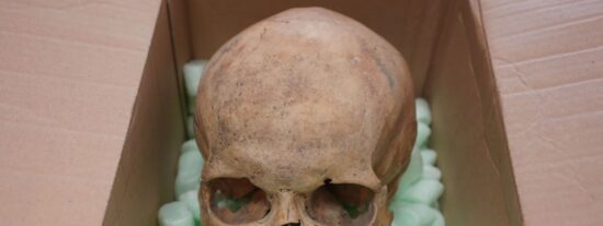 La calavera devuelta a la Catedral de San Esteban