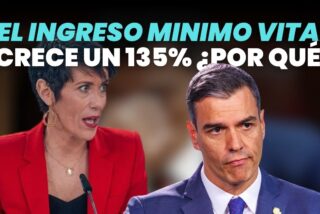 ¿Por qué el IMV crece un 135%?