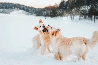 Pron&oacute;stico del Tiempo: viernes 21 de noviembre de 2025