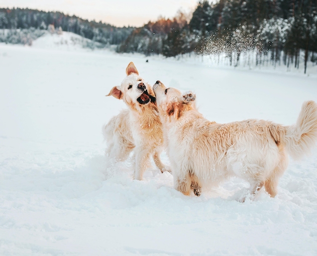 Pron&oacute;stico del Tiempo: viernes 21 de noviembre de 2025