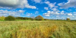 El Cinturon Verde de Alemania