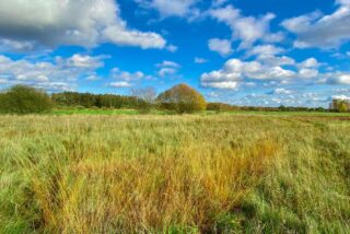 El Cinturon Verde de Alemania