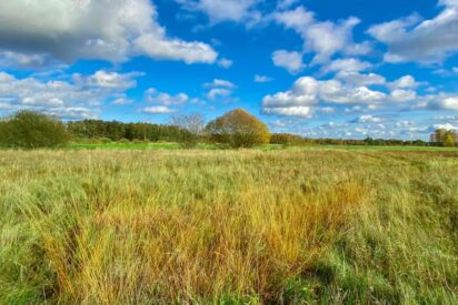 El Cinturon Verde de Alemania