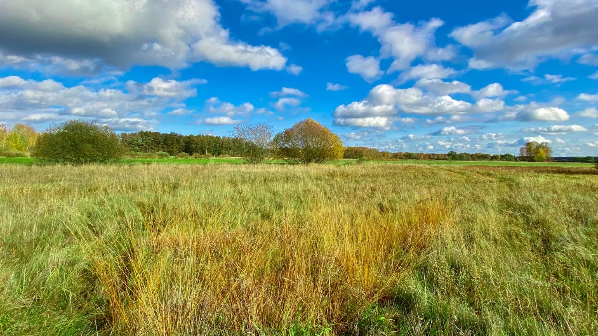 El Cinturon Verde de Alemania