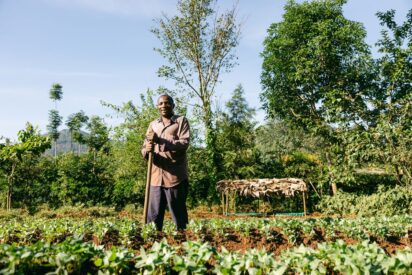 Smoking Paper contribuye a la plantaci&oacute;n de 245.922 &aacute;rboles