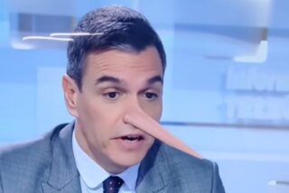 Pedro Sánchez &#039;Pinocho&#039; (PSOE)