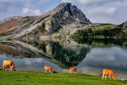 Lagos de Covadonga