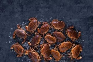 Del salm&oacute;n ahumado al imponente "cangrejo real": Noruega brilla en las mesas por Navidad