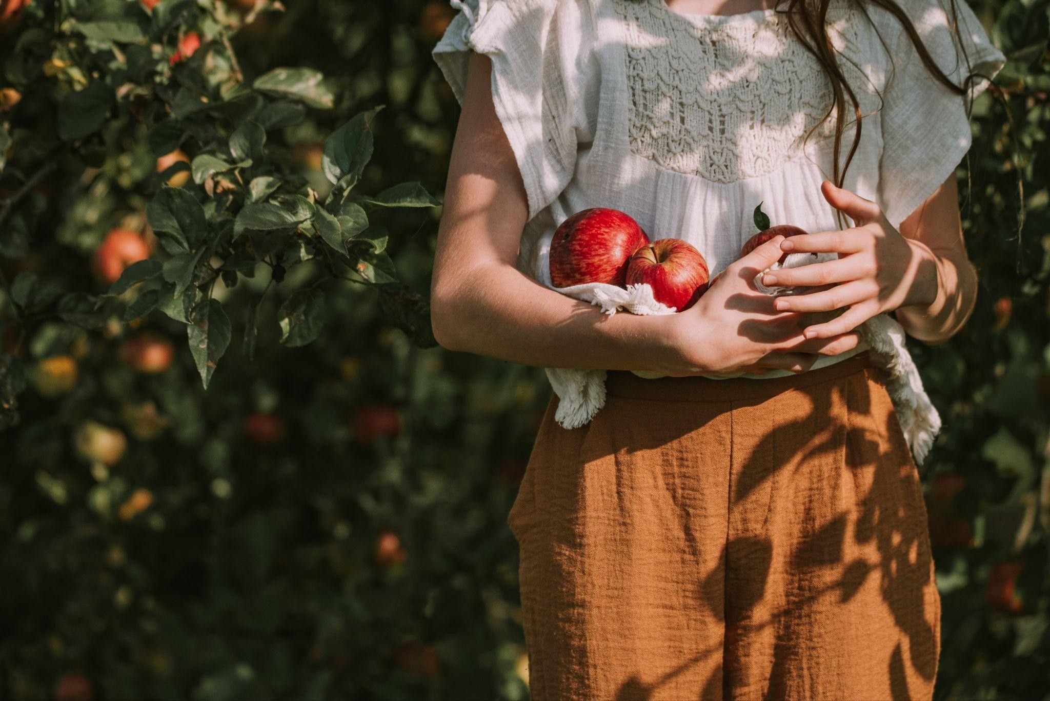 Mak Food Company cierra 2025 con un crecimiento s&oacute;lido, expansi&oacute;n internacional y estabilidad