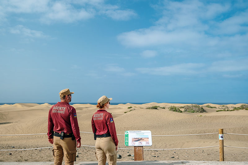 Proyecto Masdunas, en Gran Canaria, una iniciativa para preservar el campo dunar de Maspalomas / Turismo de Islas Canarias