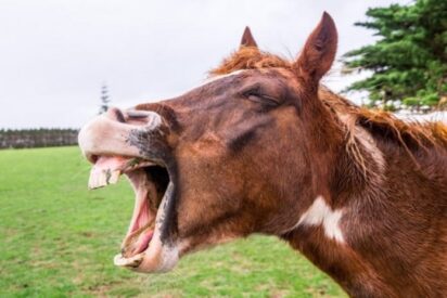 Pron&oacute;stico del Tiempo en Espa&ntilde;a: lluvias, nubes y descenso de temperaturas este mi&eacute;rcoles 10 de diciembre de 2025