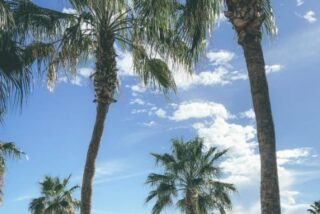 Baja California irrumpe en FITUR 2026 con una agenda estrat&eacute;gica para conquistar el mercado europeo