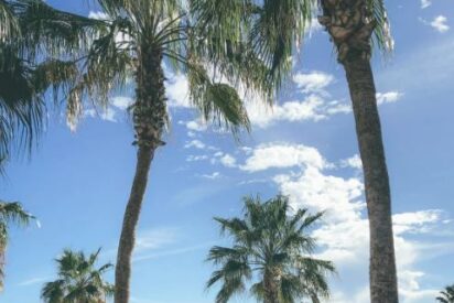 Baja California irrumpe en FITUR 2026 con una agenda estrat&eacute;gica para conquistar el mercado europeo