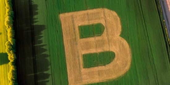 Bonduelle obtiene la certificaci&oacute;n B Corp en todas sus operaciones a nivel mundial