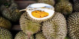 Durians