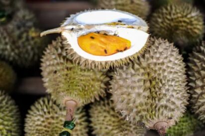 Durians
