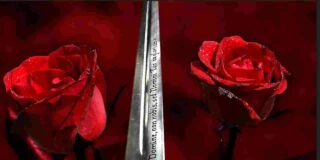 La rosa y la espada.