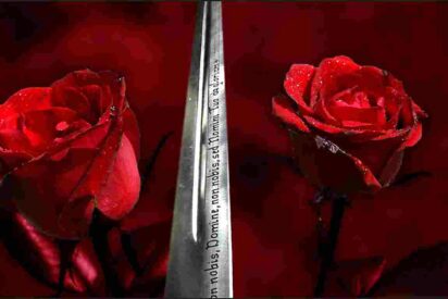 La rosa y la espada.
