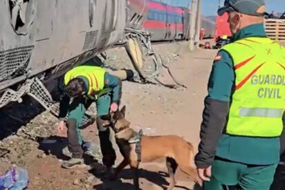 La Guardia Civil busca con un perro entre los restos del tren